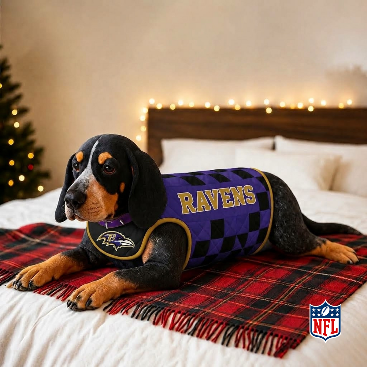 BAL x NFL LUXURIOUS PLUSH PILLOW