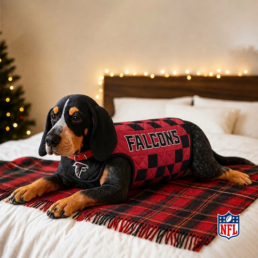 ATL x NFL LUXURIOUS PLUSH PILLOW