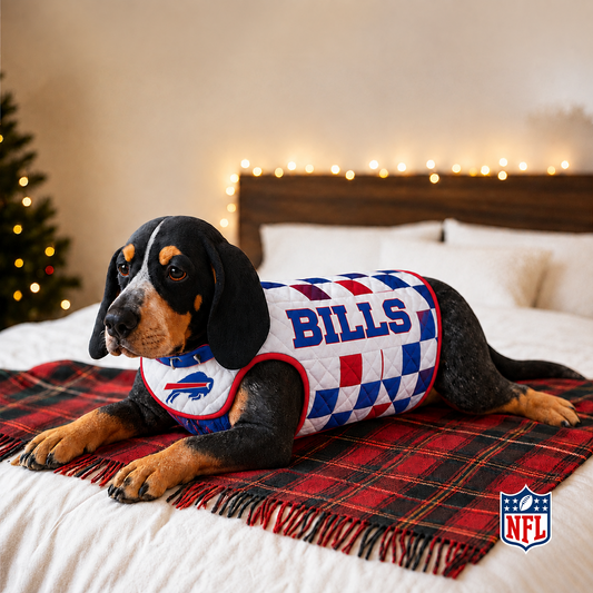 BUF x NFL LUXURIOUS PLUSH PILLOW