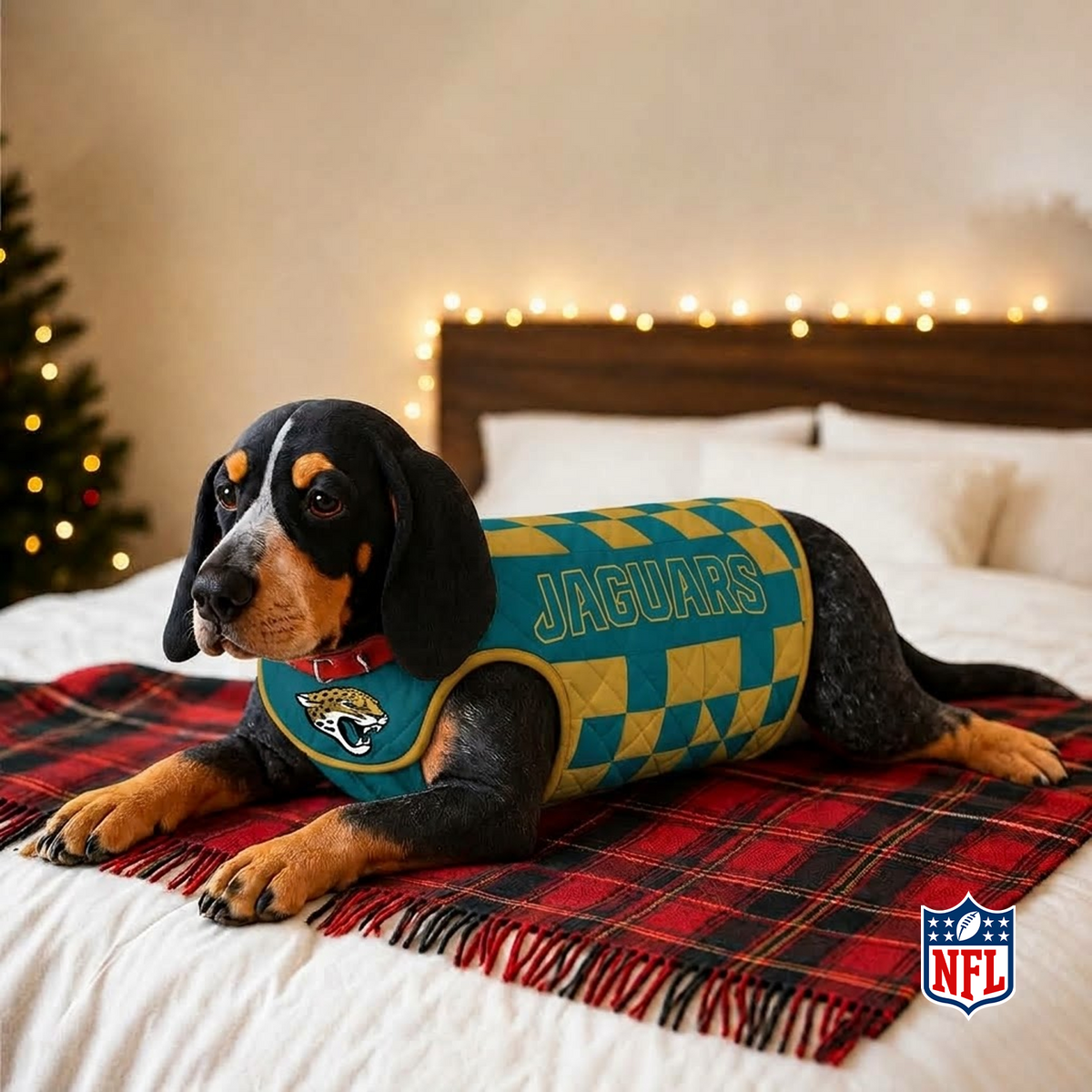 JAX x NFL LUXURIOUS PLUSH PILLOW